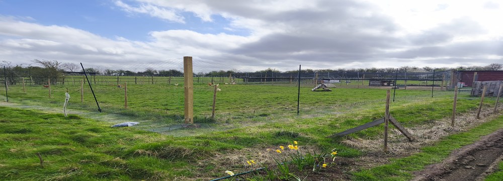 Barralier Farm in spring — Buckinghamshire