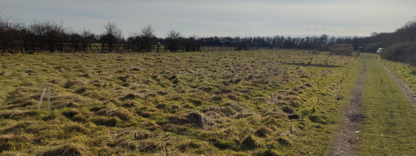 Barralier Farm — Buckinghamshire land and orchard